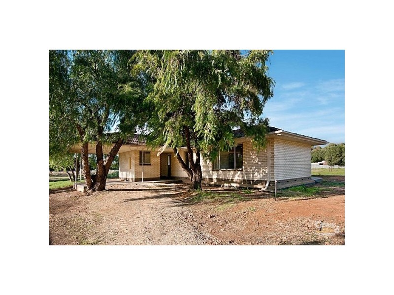 63 Daniel Avenue, Globe Derby Park SA 5110