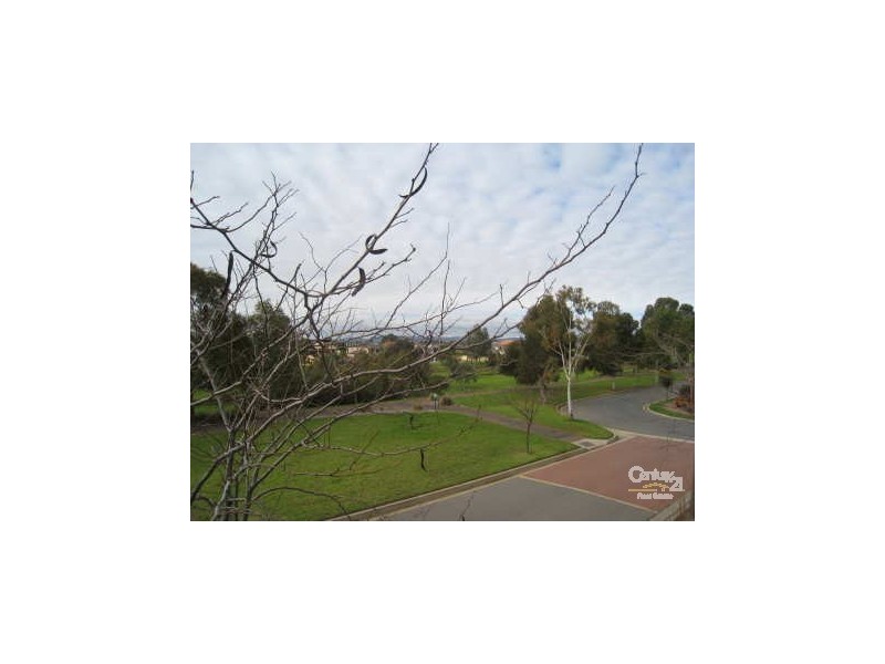 11 Greentree Place, Mawson Lakes SA 5095