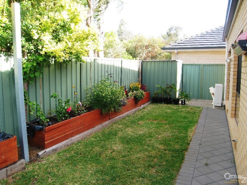 16 Weatherstone Crescent, Mawson Lakes SA 5095