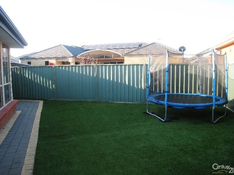 12 Bimini Crescent, Mawson Lakes SA 5095