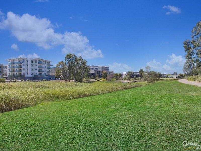 16 Northcote Walk, Mawson Lakes SA 5095