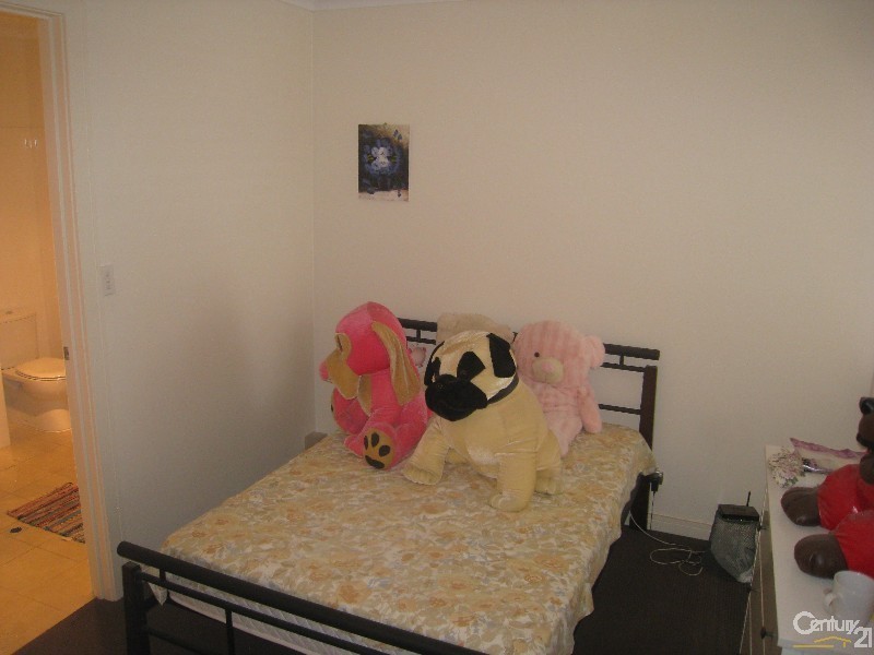 8 Junction Street, Mawson Lakes SA 5095