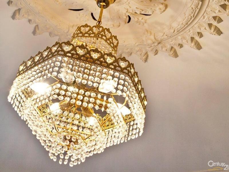 6 Bimini Crescent, Mawson Lakes SA 5095