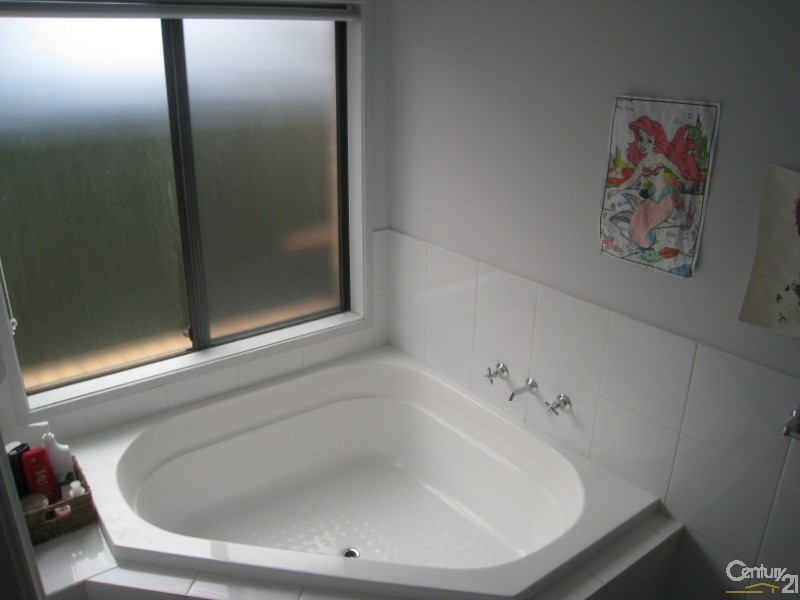 59 MacMillan Avenue, Mawson Lakes SA 5095