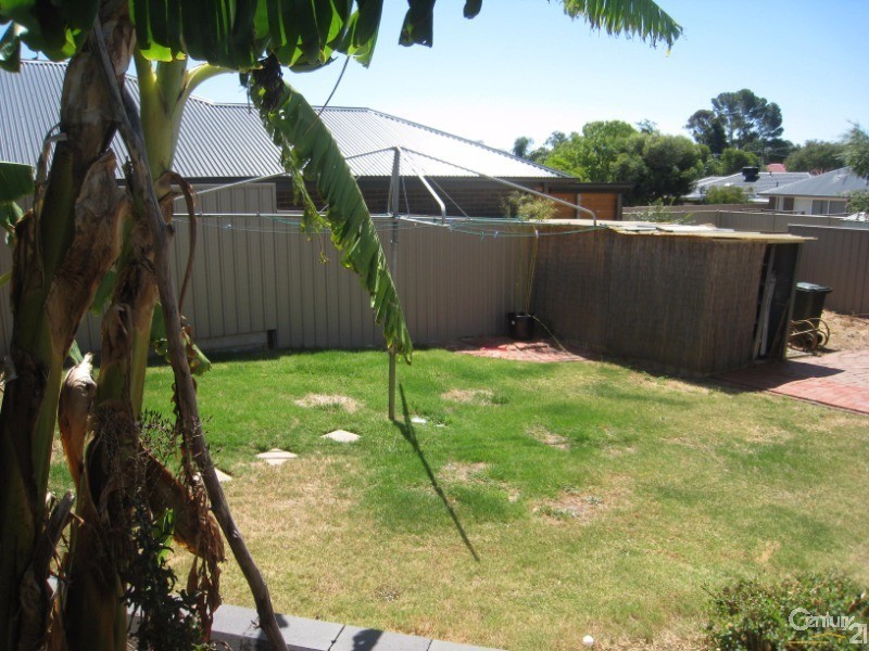 13 Claire Street, Ridgehaven SA 5097