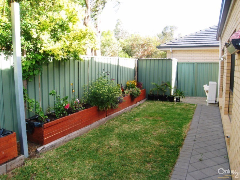 16 Weatherstone Crescent, Mawson Lakes SA 5095