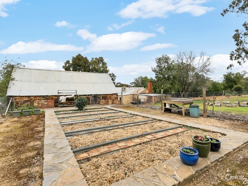 36 Gilbert Street, Lyndoch SA 5351