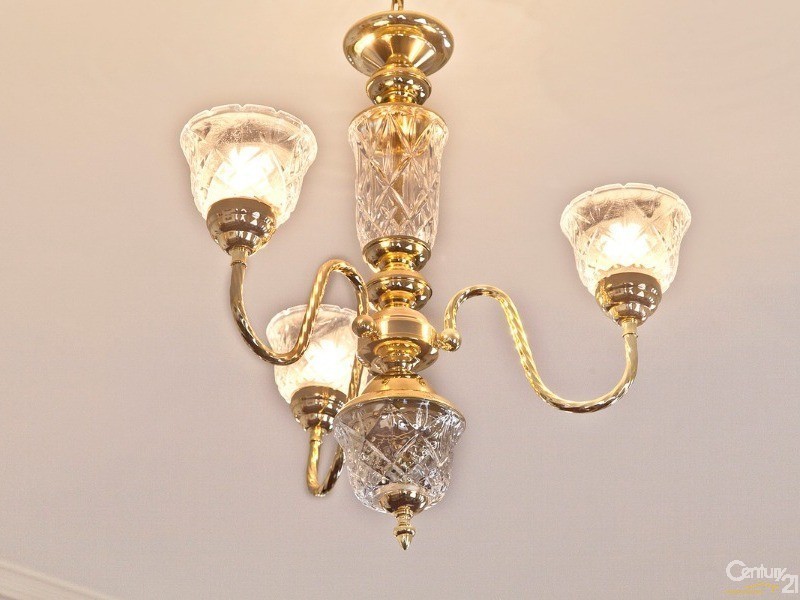 6  Bimini Crescent, Mawson Lakes SA 5095