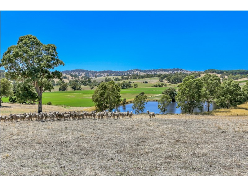 18 Fromm Square, Williamstown SA 5351