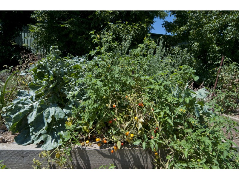 18 Fromm Square, Williamstown SA 5351