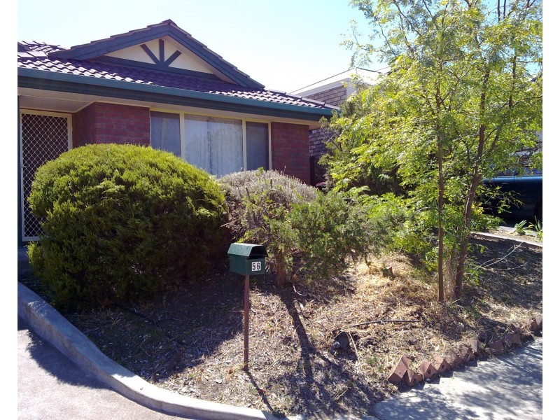 56 Noya Avenue, Modbury Heights SA 5092