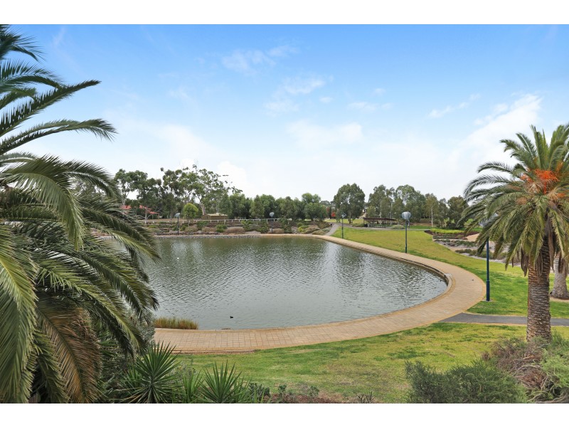 34 Lomond Circuit, Mawson Lakes SA 5095