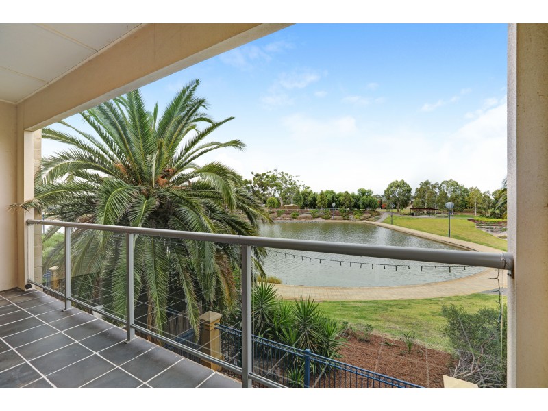 34 Lomond Circuit, Mawson Lakes SA 5095