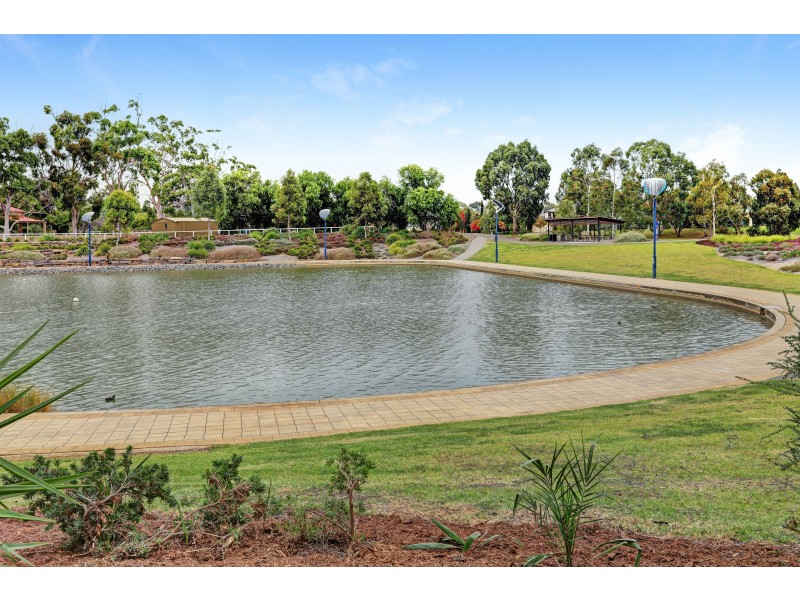 34 Lomond Circuit, Mawson Lakes SA 5095