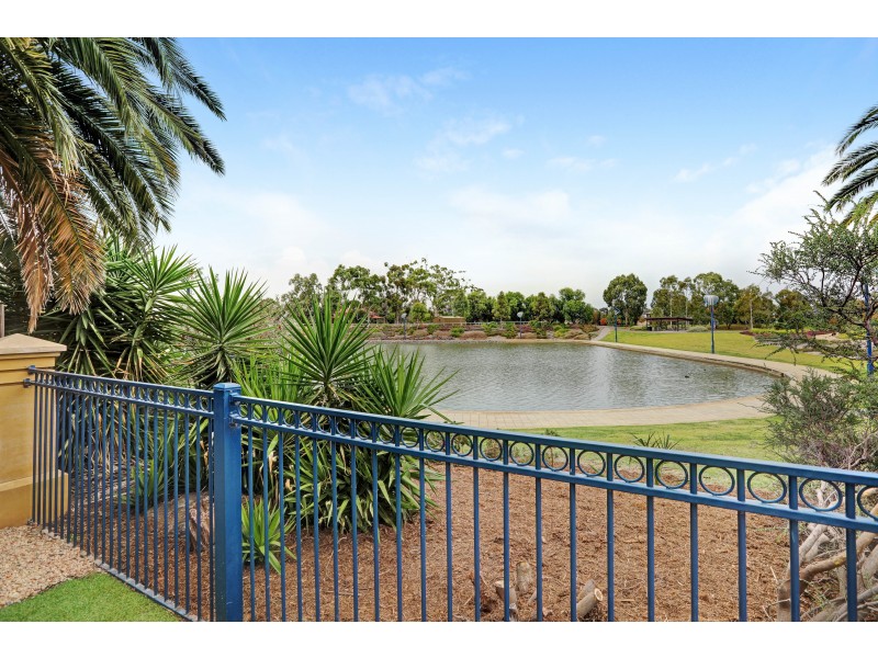 34 Lomond Circuit, Mawson Lakes SA 5095