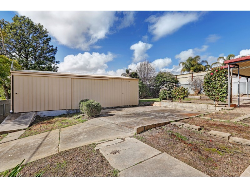 11 Pangari Drive, Fairview Park SA 5126