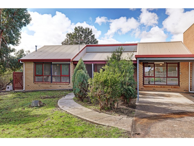 11 Pangari Drive, Fairview Park SA 5126