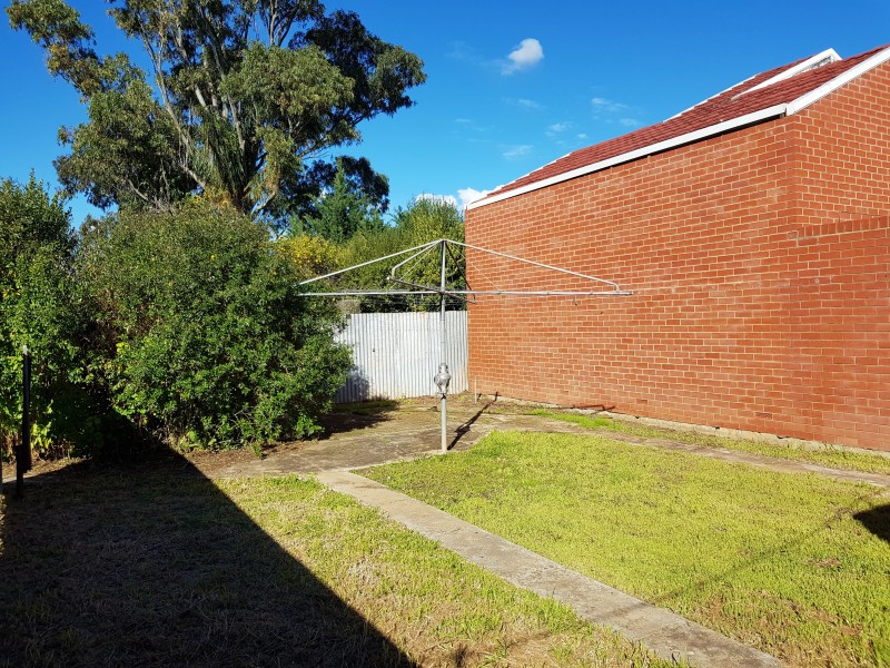 35 College Avenue, Prospect SA 5082