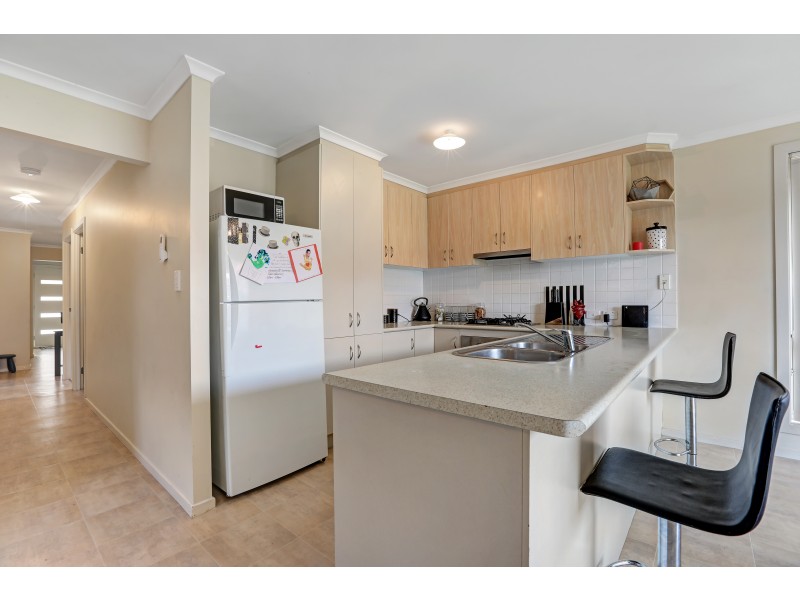 3 Puddle Lane, Andrews Farm SA 5114