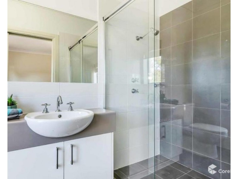 66 Shoalhaven Circuit, Mawson Lakes SA 5095