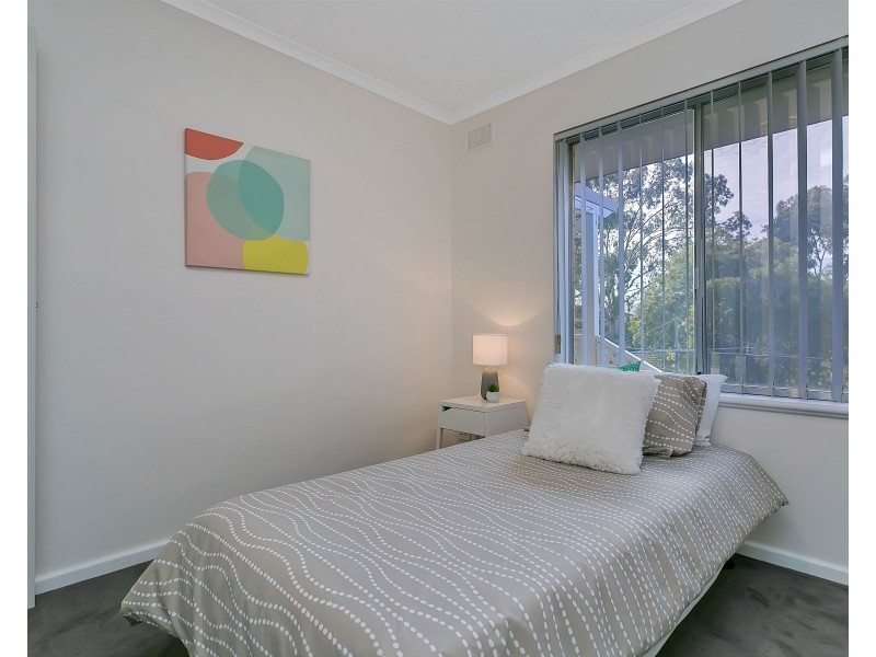 19 St Albans Avenue, Valley View SA 5093