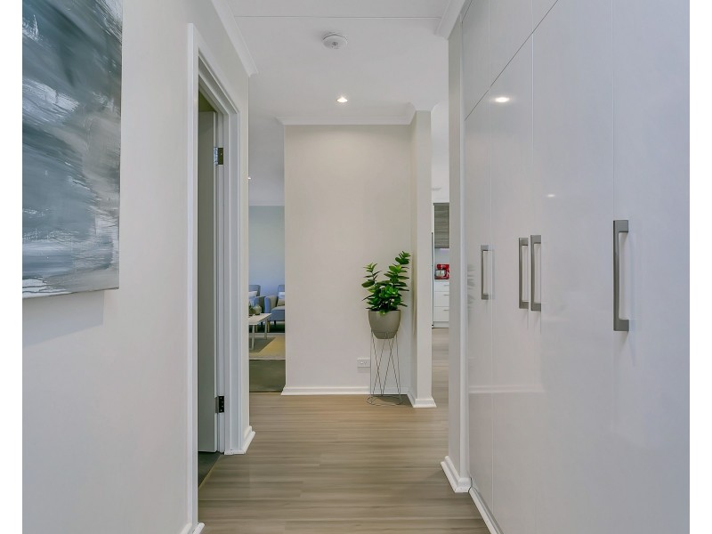 19 St Albans Avenue, Valley View SA 5093