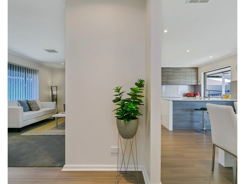 19 St Albans Avenue, Valley View SA 5093