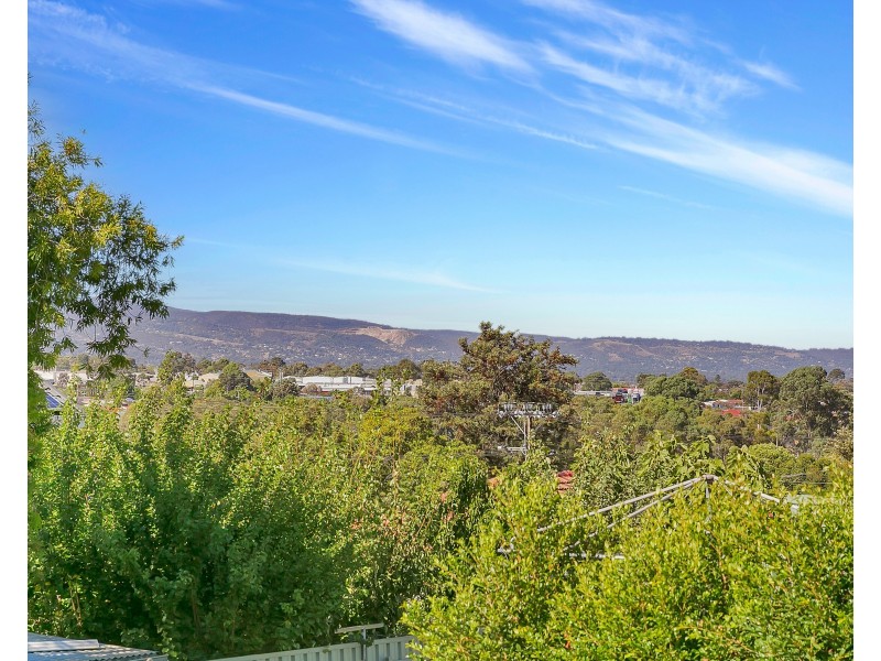 19 St Albans Avenue, Valley View SA 5093