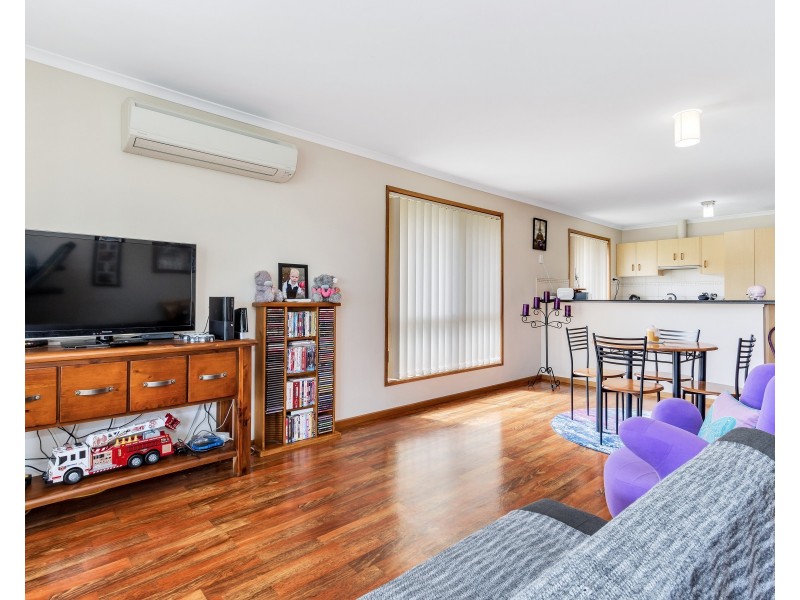 4 Alyssum Court, Para Hills West SA 5096