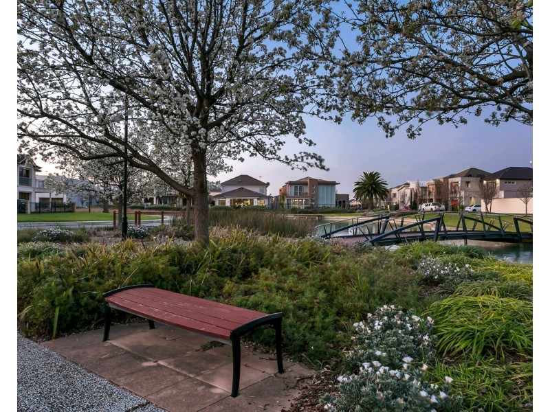 17 Santorini Walk, Mawson Lakes SA 5095