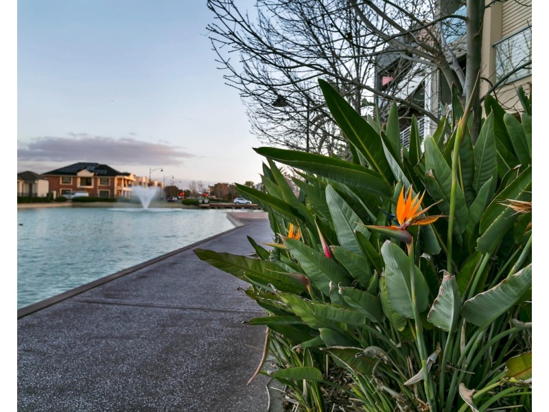 17 Santorini Walk, Mawson Lakes SA 5095