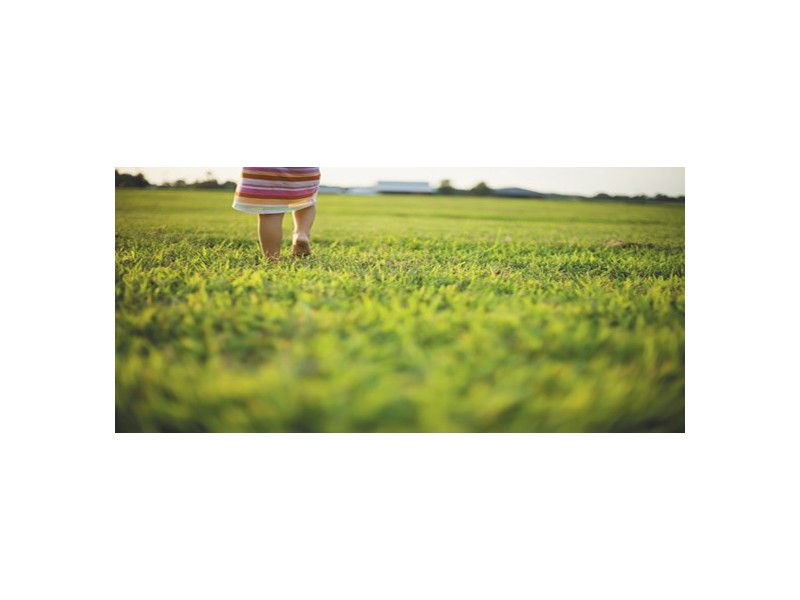 . PLAYFORD ALIVE, Andrews Farm SA 5114