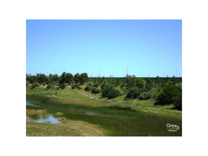 6 Northcote Walk, Mawson Lakes SA 5095