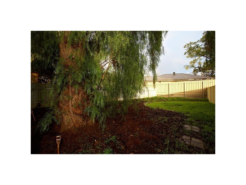 5A Eddy Street, Enfield SA 5085