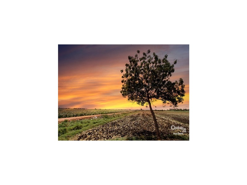 . Gawler Road, Two Wells SA 5501