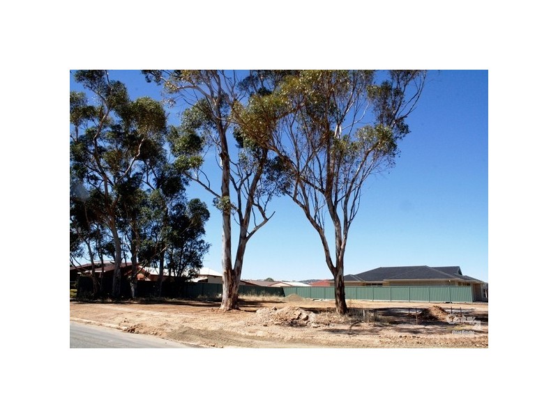 Lot 1 Buckley Street, Evanston Gardens SA 5116