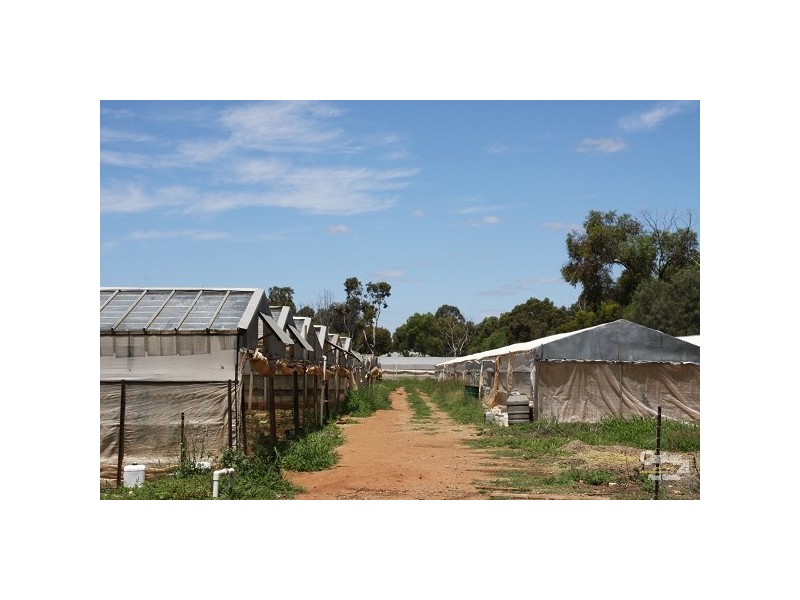 30 Julian Court, Macdonald Park SA 5121