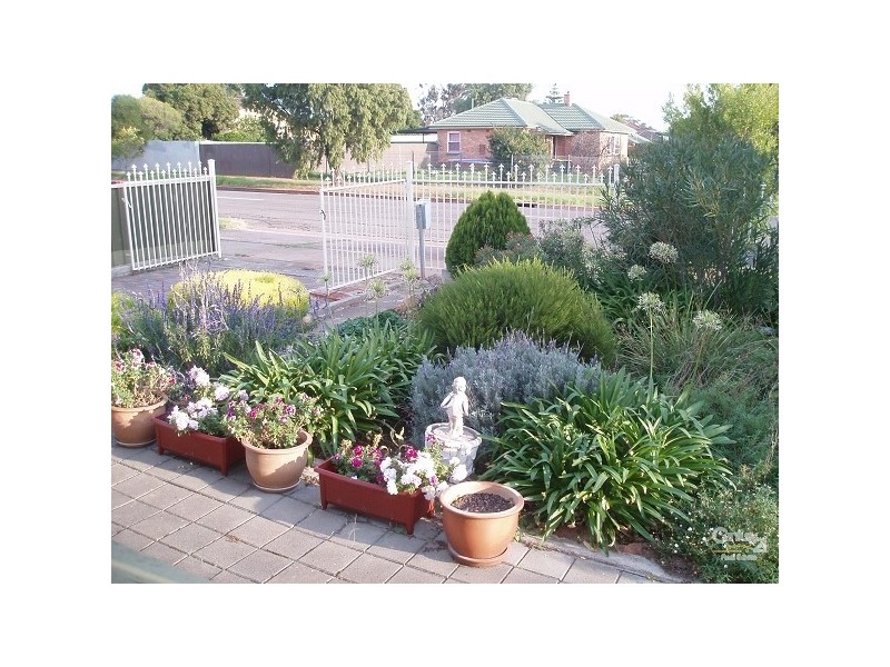 13 Campbell Rd, Elizabeth Downs SA 5113