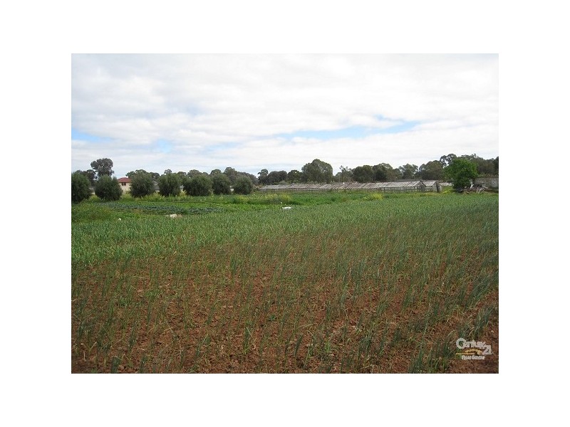 Lots 40 & 41 Burton Road, Salisbury Downs SA 5108