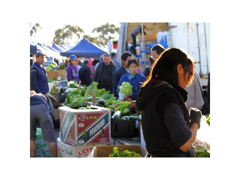 132 Grand Junction Road, Blair Athol SA 5084