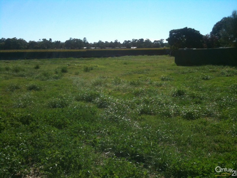 Lot 550 Sauvignon Street, Nuriootpa SA 5355