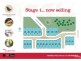 Paralowie SA 5108 Floorplan