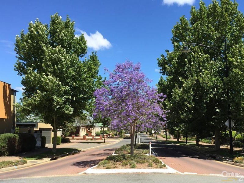 1/2 Greentree Place, Mawson Lakes SA 5095