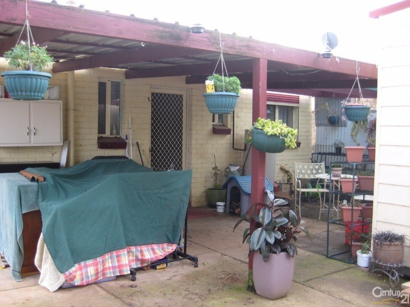 59 Mahood Street, Elizabeth Grove SA 5112