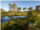 Lot 223 Scott Way, Mount Barker SA 5251