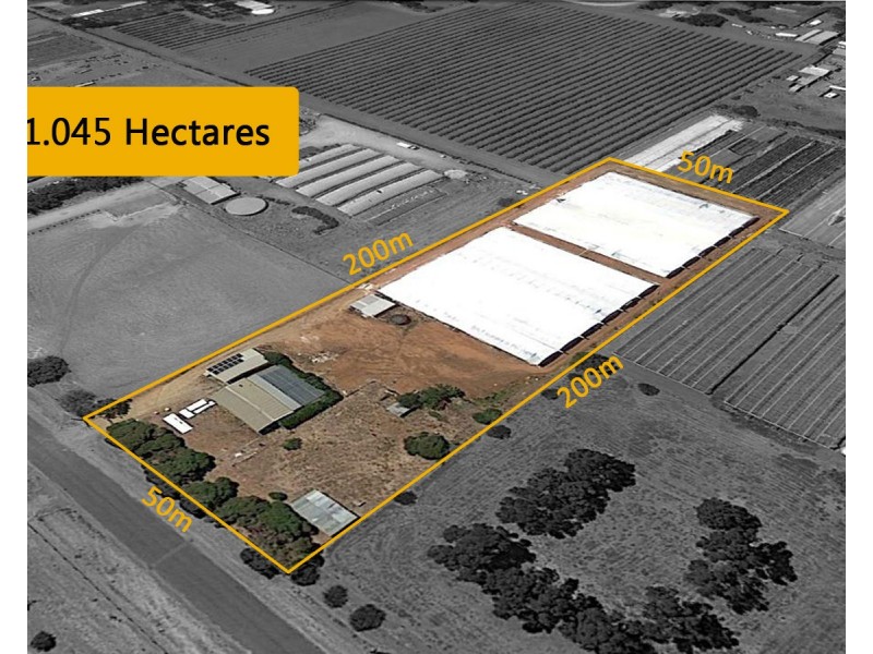 37 Thyer Road, Macdonald Park SA 5121