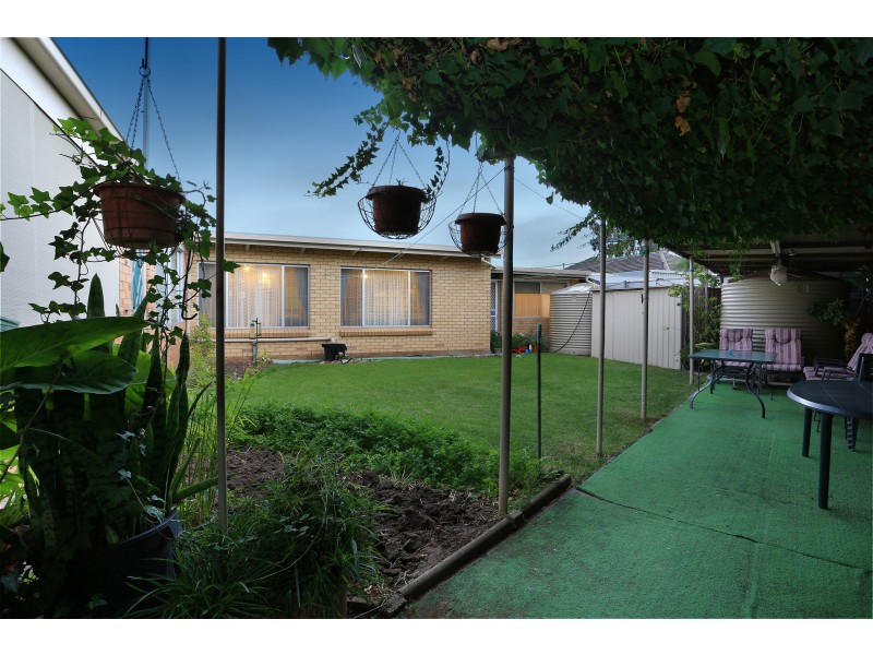 3 Pope Street, Newton SA 5074