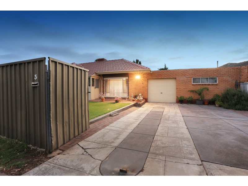 3 Pope Street, Newton SA 5074