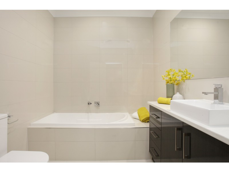 8c Swinburne Avenue, Plympton Park SA 5038