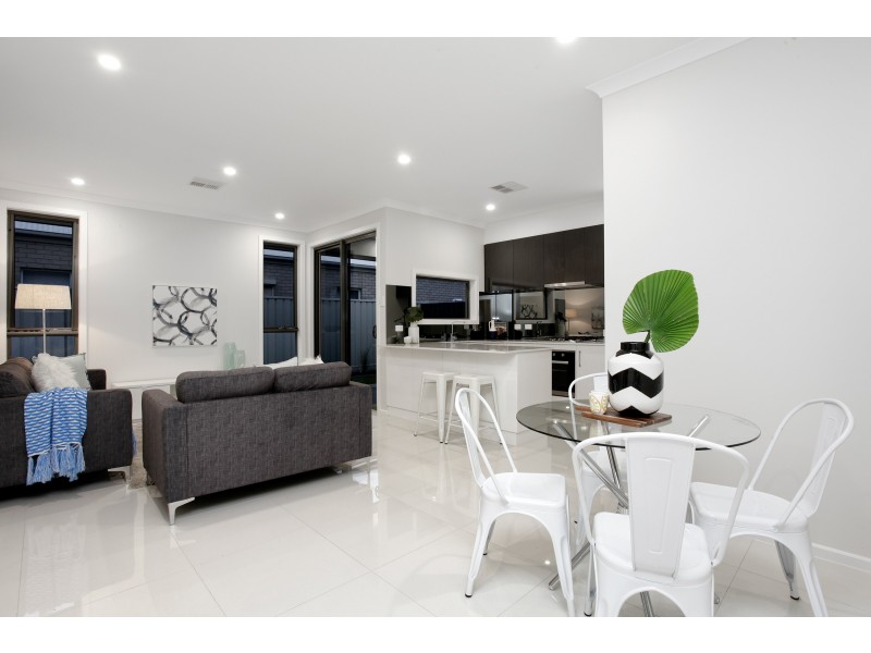 8c Swinburne Avenue, Plympton Park SA 5038